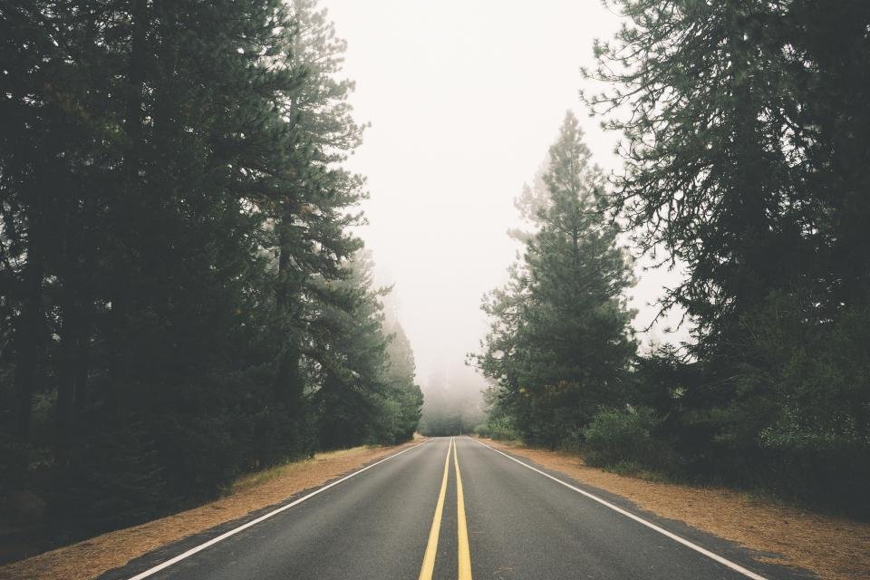 A road running into morning mist